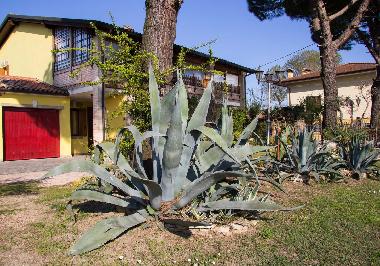 Holiday Apartment in Montegrotto Terme (Padova) or holiday homes and vacation rentals