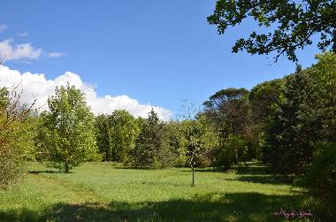 Holiday House in Dions (Gard) or holiday homes and vacation rentals