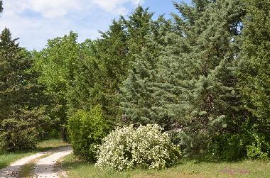 Holiday House in Dions (Gard) or holiday homes and vacation rentals