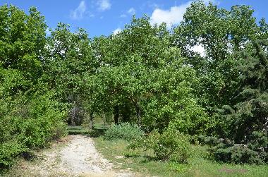 Holiday House in Dions (Gard) or holiday homes and vacation rentals