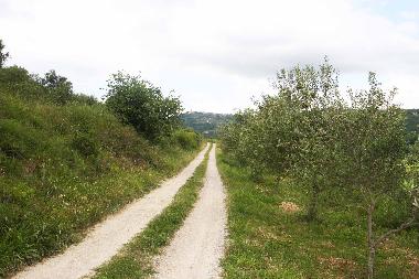 Holiday Apartment in Secovlje (Piran) or holiday homes and vacation rentals