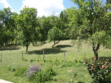 Holiday House in Gospic (Licko-Senjska) or holiday homes and vacation rentals