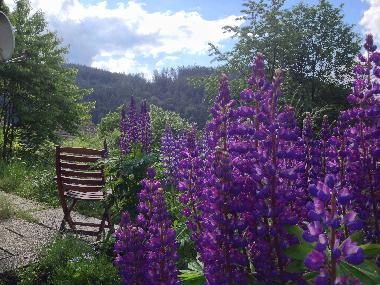 Holiday House in Biedenkopf (Marburg-Biedenkopf) or holiday homes and vacation rentals