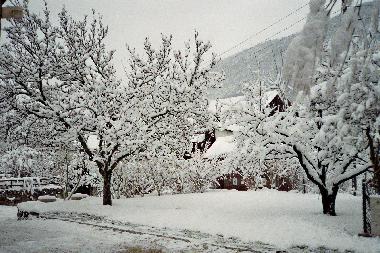 Holiday Apartment in Grandval (La Chaux-de-Fonds) or holiday homes and vacation rentals