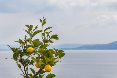 Holiday Apartment in Okrug Gornji (Splitsko-Dalmatinska) or holiday homes and vacation rentals