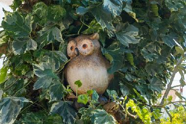 Bed and Breakfast in Okrug Gornji (Splitsko-Dalmatinska) or holiday homes and vacation rentals