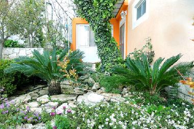 Bed and Breakfast in Okrug Gornji (Splitsko-Dalmatinska) or holiday homes and vacation rentals