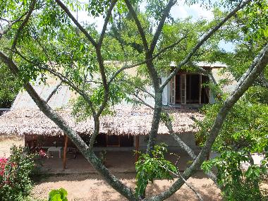 Bed and Breakfast in kandy (Kandy) or holiday homes and vacation rentals