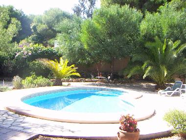 Private pool with roman steps