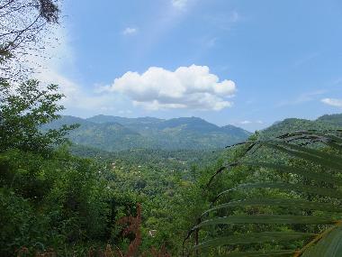 Bed and Breakfast in kandy (Kandy) or holiday homes and vacation rentals