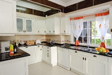 Villa in Albufeira (Algarve) or holiday homes and vacation rentals