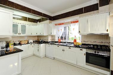 Villa in Albufeira (Algarve) or holiday homes and vacation rentals