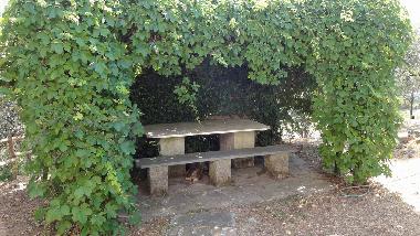 Holiday House in Castelnuovo Magra (La Spezia) or holiday homes and vacation rentals