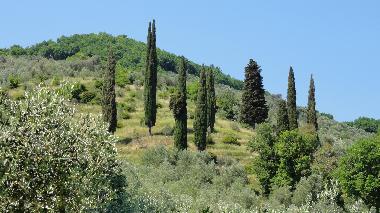Holiday House in Castelnuovo Magra (La Spezia) or holiday homes and vacation rentals