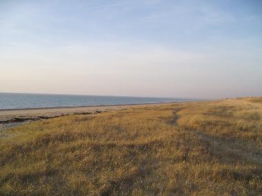 Holiday House in br�ville sur mer  (Manche) or holiday homes and vacation rentals