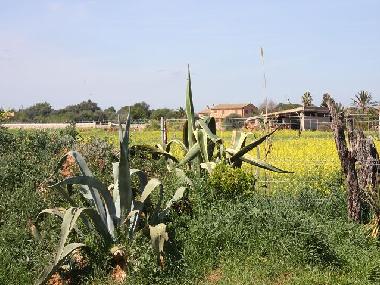 Holiday House in Campos (Mallorca) or holiday homes and vacation rentals