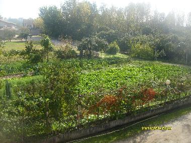 Bed and Breakfast in CASSINO (Frosinone) or holiday homes and vacation rentals