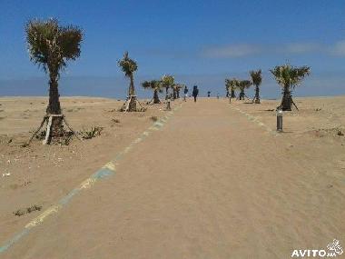 Holiday Apartment in CASABLANCA (Casablanca) or holiday homes and vacation rentals