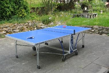 Holiday Apartment in Brienz (Brienz-Meiringen-Hasliberg) or holiday homes and vacation rentals