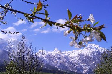 Holiday Apartment in Abtenau (Salzburg und Umgebung) or holiday homes and vacation rentals