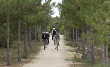 Holiday Apartment in Saint Jean de Monts (Vend�e) or holiday homes and vacation rentals