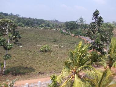 the view from the terrace