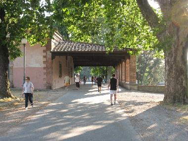 Holiday House in Lucca (Lucca) or holiday homes and vacation rentals