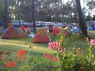 Holiday Apartment in Gastes (Landes) or holiday homes and vacation rentals