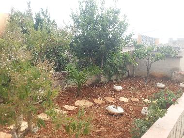 Holiday House in Custonaci (Trapani) or holiday homes and vacation rentals