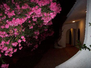 Villa in Torre delle stelle (Cagliari) or holiday homes and vacation rentals