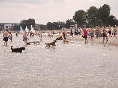 Holiday Apartment in Scharbeutz / Klingberg (Ostsee-Festland) or holiday homes and vacation rentals