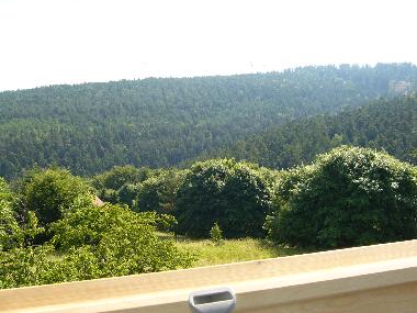 Holiday Apartment in La Hoube-Dabo (Moselle) or holiday homes and vacation rentals