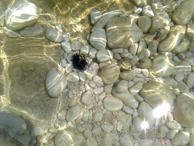 Holiday Apartment in ILIAS (Vlore) or holiday homes and vacation rentals