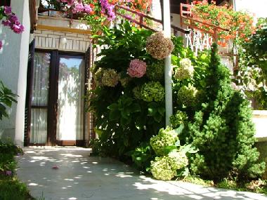 Bed and Breakfast in Pula (Istarska) or holiday homes and vacation rentals
