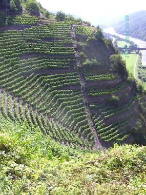 Holiday Apartment in Alf (Mosel - Saar) or holiday homes and vacation rentals