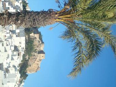 Holiday Apartment in salobrea (Granada) or holiday homes and vacation rentals