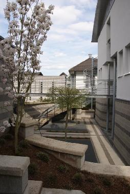 Holiday Apartment in Alf (Mosel - Saar) or holiday homes and vacation rentals