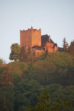 Holiday Apartment in Alf (Mosel - Saar) or holiday homes and vacation rentals