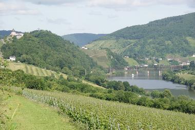 Holiday Apartment in Alf (Mosel - Saar) or holiday homes and vacation rentals