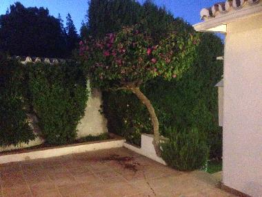 Villa in La Cala de Mijas (Mlaga) or holiday homes and vacation rentals
