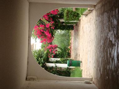 Holiday Apartment in alcossebre (Castell�n / Castell�) or holiday homes and vacation rentals