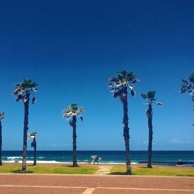 Holiday Apartment in las palmas de gran canaria (Gran Canaria) or holiday homes and vacation rentals