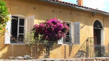 Villa in Calenzana (Haute-Corse) or holiday homes and vacation rentals