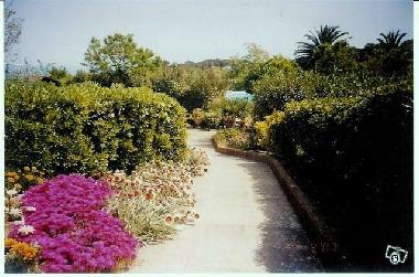 Holiday Apartment in Capoliveri (Livorno) or holiday homes and vacation rentals