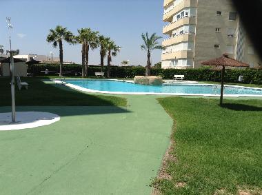 Holiday Apartment in Alicante (Alicante / Alacant) or holiday homes and vacation rentals