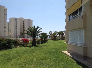 Holiday Apartment in Alicante (Alicante / Alacant) or holiday homes and vacation rentals