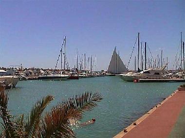 Holiday Apartment in Alcossebre (Castell�n / Castell�) or holiday homes and vacation rentals