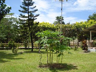 Holiday House in Ao Nang (Krabi) or holiday homes and vacation rentals