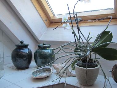 Holiday House in Bessenbach (Lower Franconia) or holiday homes and vacation rentals