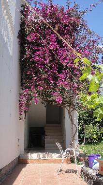 Holiday Apartment in Budva (Montenegro) or holiday homes and vacation rentals